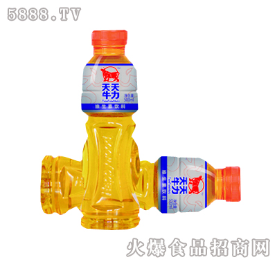 ţS500ml