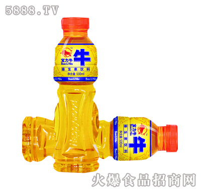 ţS500ml