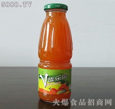 Ԫ}֭290ml