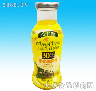 SԴ̩ʽâ֭250ml