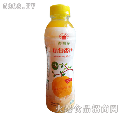 ӸС֭500ml