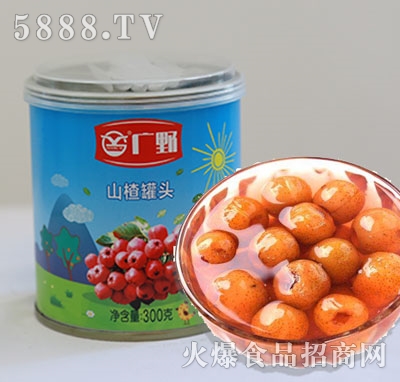 VҰɽ髹^300g