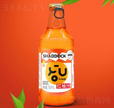 rt֭ˮ360ml̼