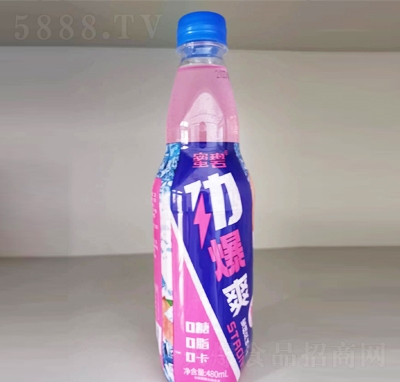 ۱̄űˬL(fng)ζˮζ480ml