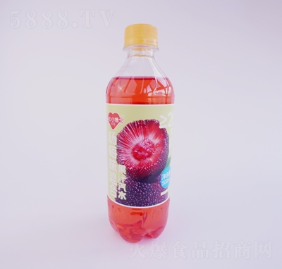 Сʿ÷֭ˮ500ml