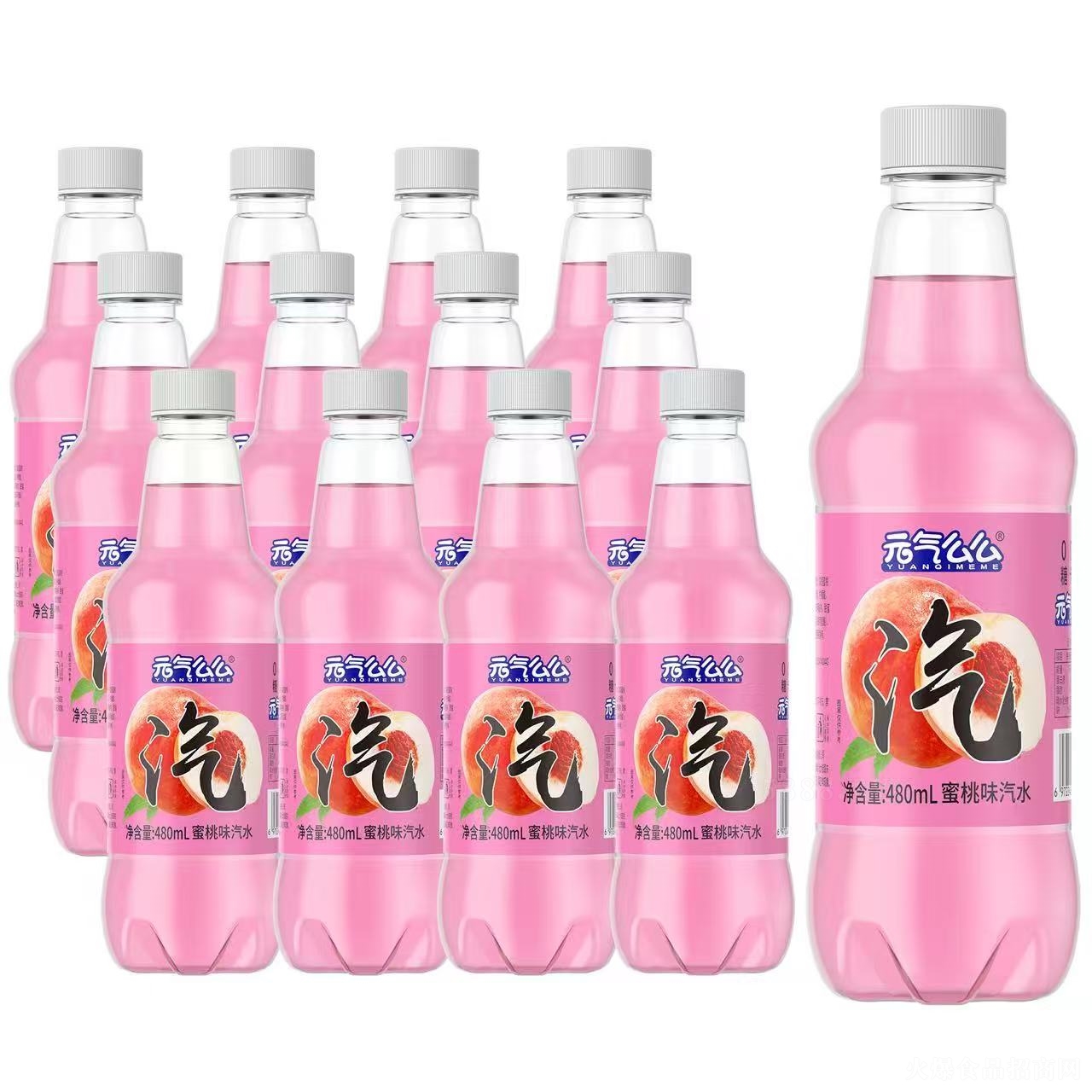 Ԫôôζˮ480ml