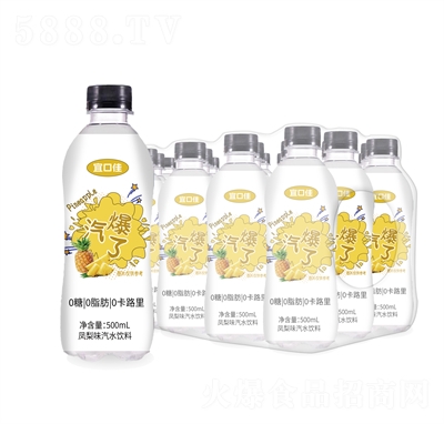 ˿ڼPζˮ500mL